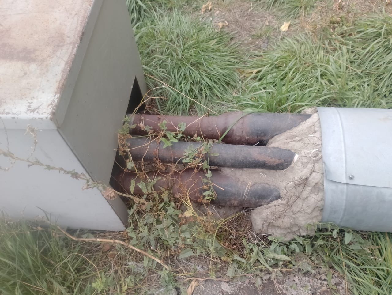 БДСМ ауруының құлдары